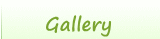 Gallery !